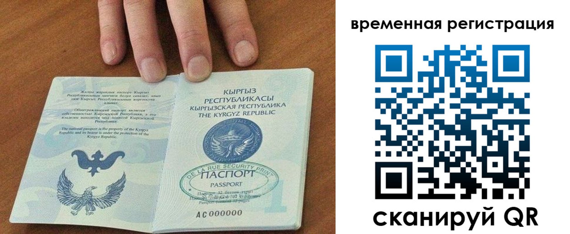 где прописаться в Смоленской области